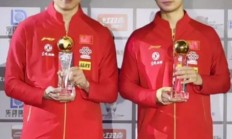 米兰登录入口-法国队碾压波兰队，许昕扛起全队的简单介绍