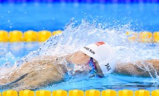 米兰真人-跨越时空的赛场主宰，从福克斯意甲封神到勇士终结上海队