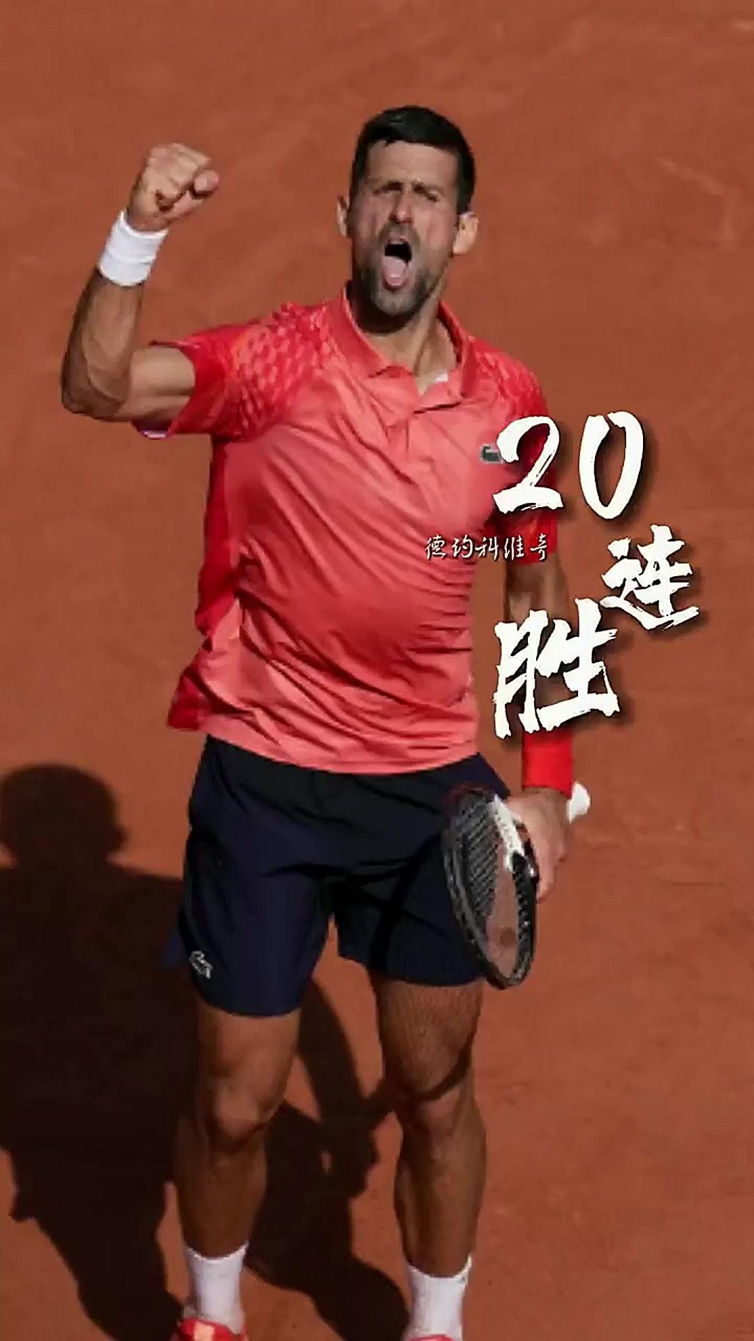 法网力克戴维斯杯，德约科维奇状态火热的简单介绍